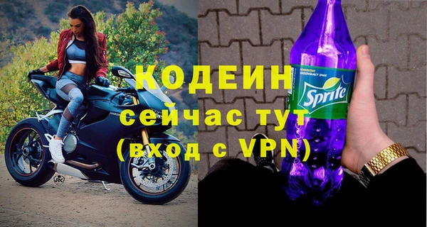 ГАЛЛЮЦИНОГЕННЫЕ ГРИБЫ Инсар