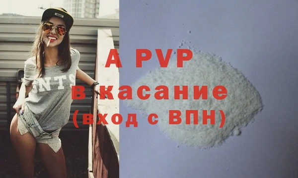 ГАЛЛЮЦИНОГЕННЫЕ ГРИБЫ Инсар
