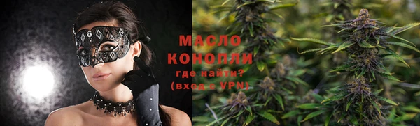дурь Инта