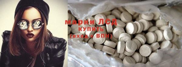 ГАЛЛЮЦИНОГЕННЫЕ ГРИБЫ Инсар