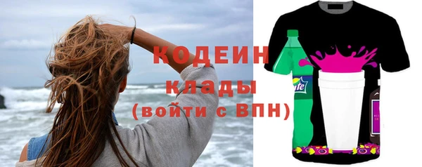 дурь Инта