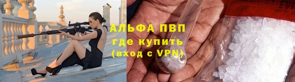 ГАЛЛЮЦИНОГЕННЫЕ ГРИБЫ Инсар