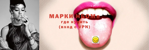 дурь Инта