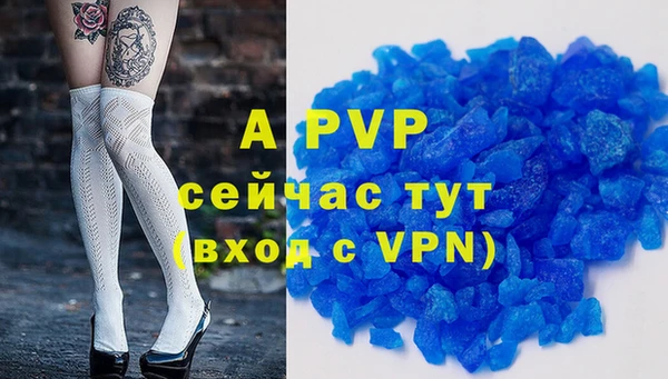 ГАЛЛЮЦИНОГЕННЫЕ ГРИБЫ Инсар
