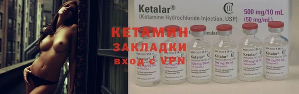 ГАЛЛЮЦИНОГЕННЫЕ ГРИБЫ Инсар