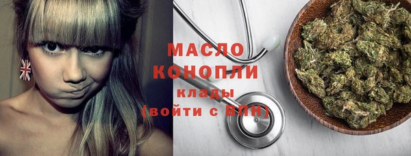 дурь Инта