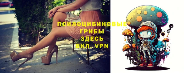 ГАЛЛЮЦИНОГЕННЫЕ ГРИБЫ Инсар
