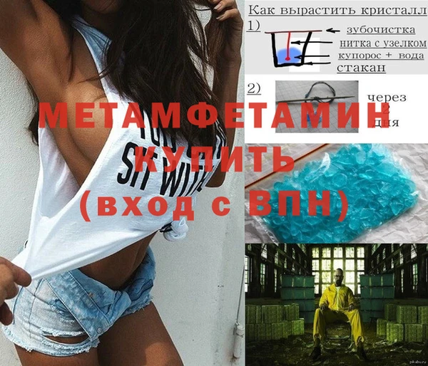ГАЛЛЮЦИНОГЕННЫЕ ГРИБЫ Инсар