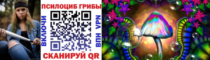 сколько стоит  Снежинск  Псилоцибиновые грибы GOLDEN TEACHER 