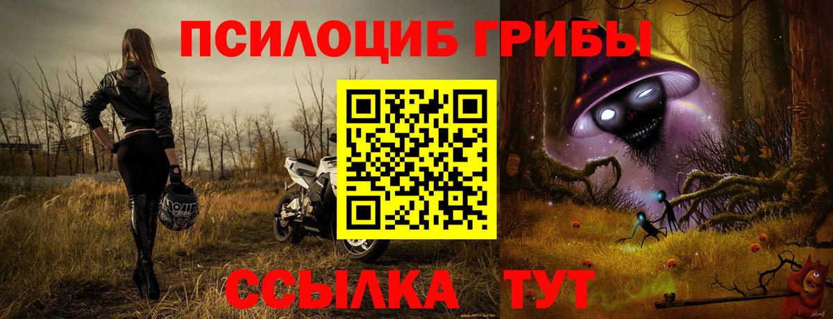 Псилоцибиновые грибы прущие грибы Снежинск